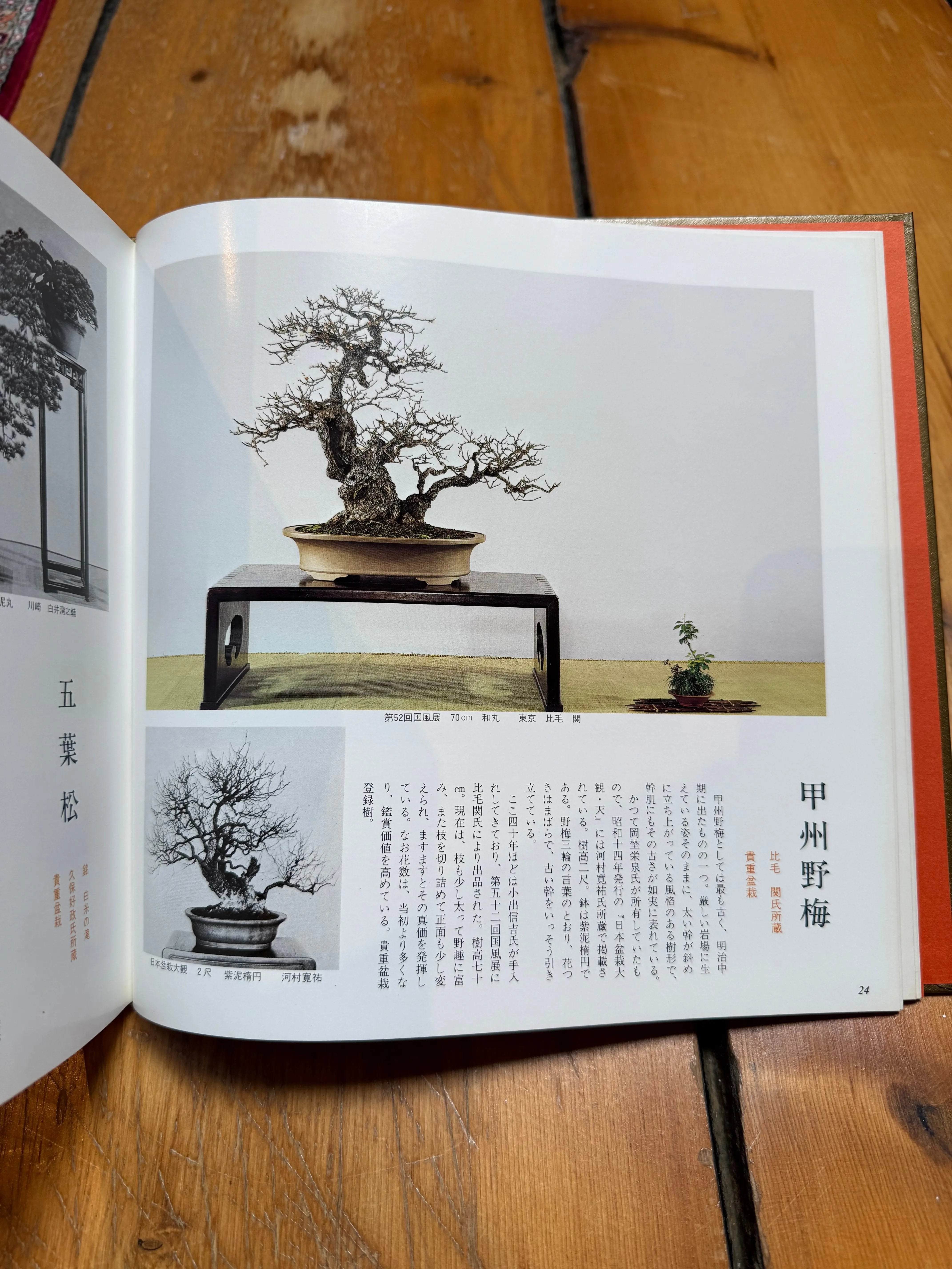 KOKUFU 50th Anniversary album CB Books