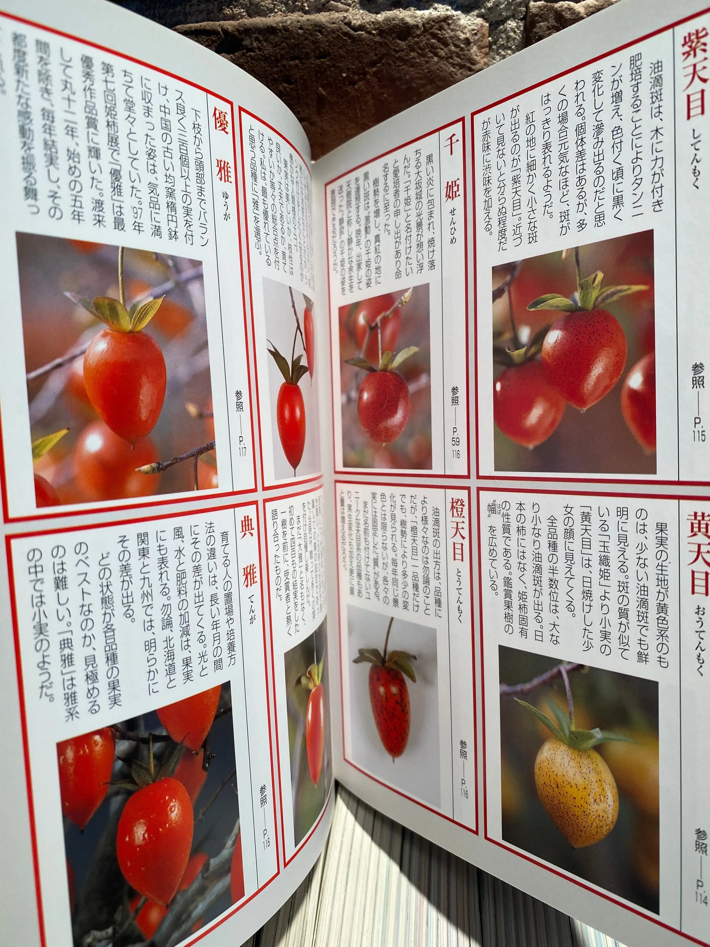 HIME GAKI (Persimmons) CB Books