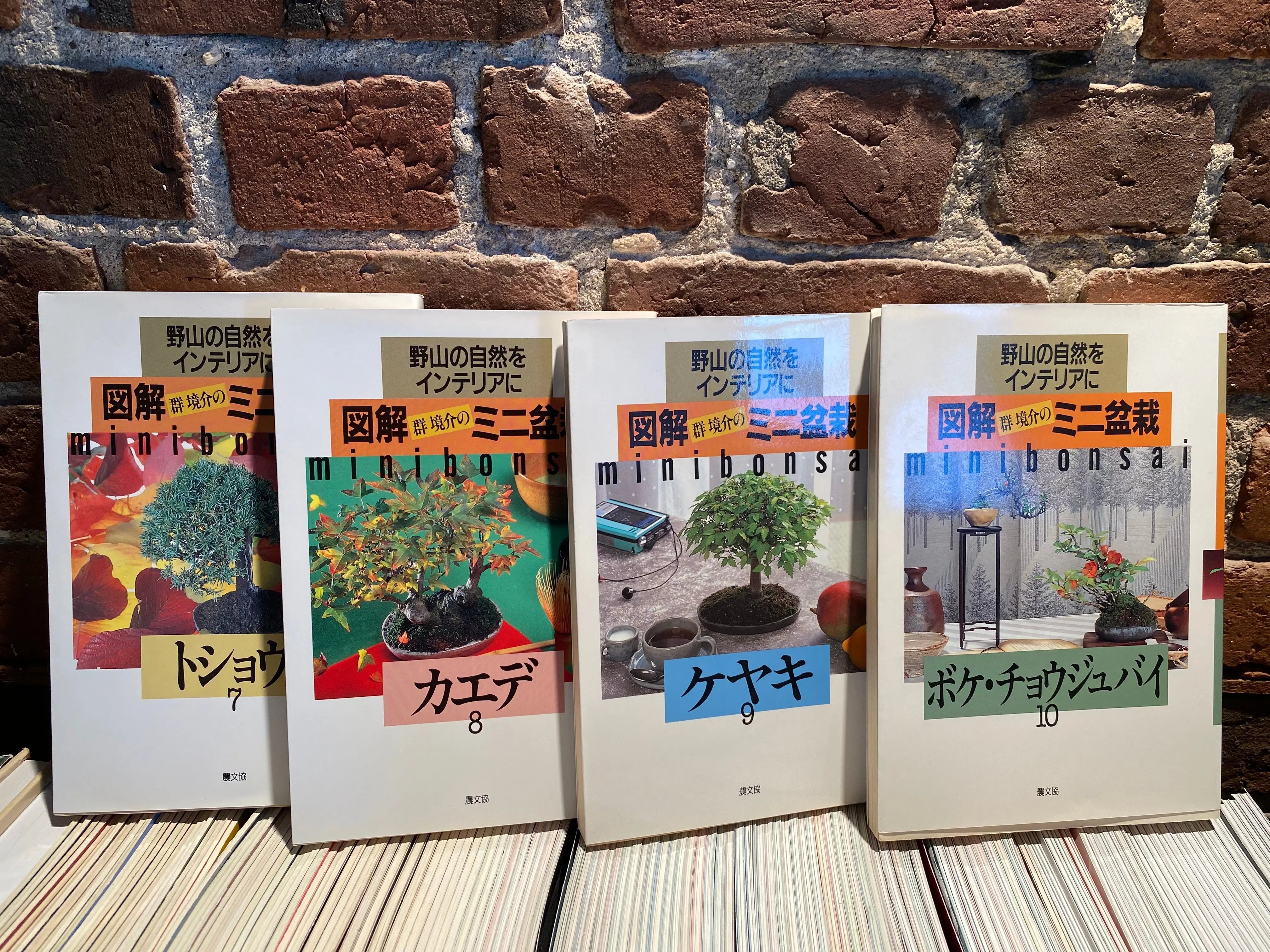 Kyosuke Gun's Illustrated mini bonsai CB Books