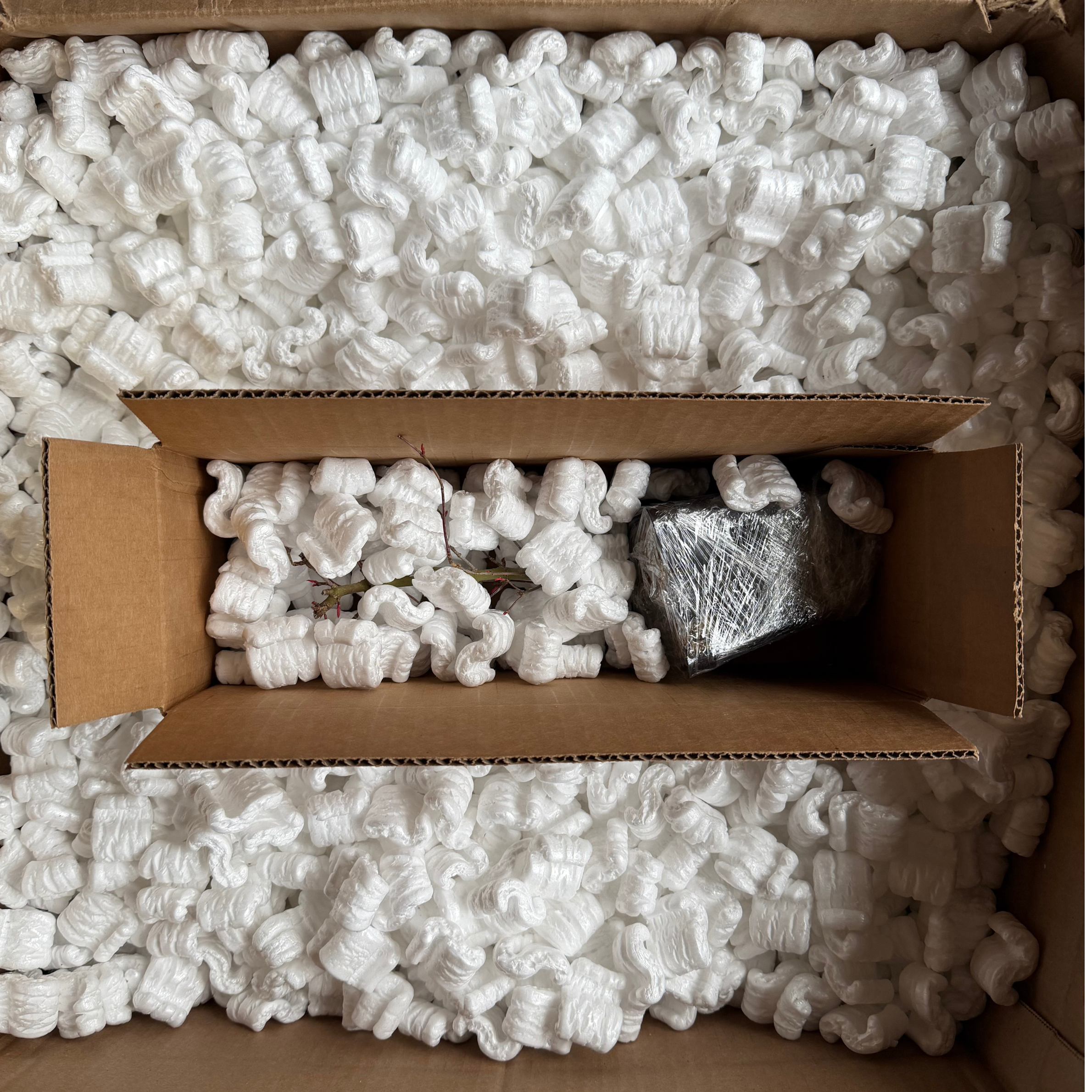 Packing and Shipping Bonsai Material