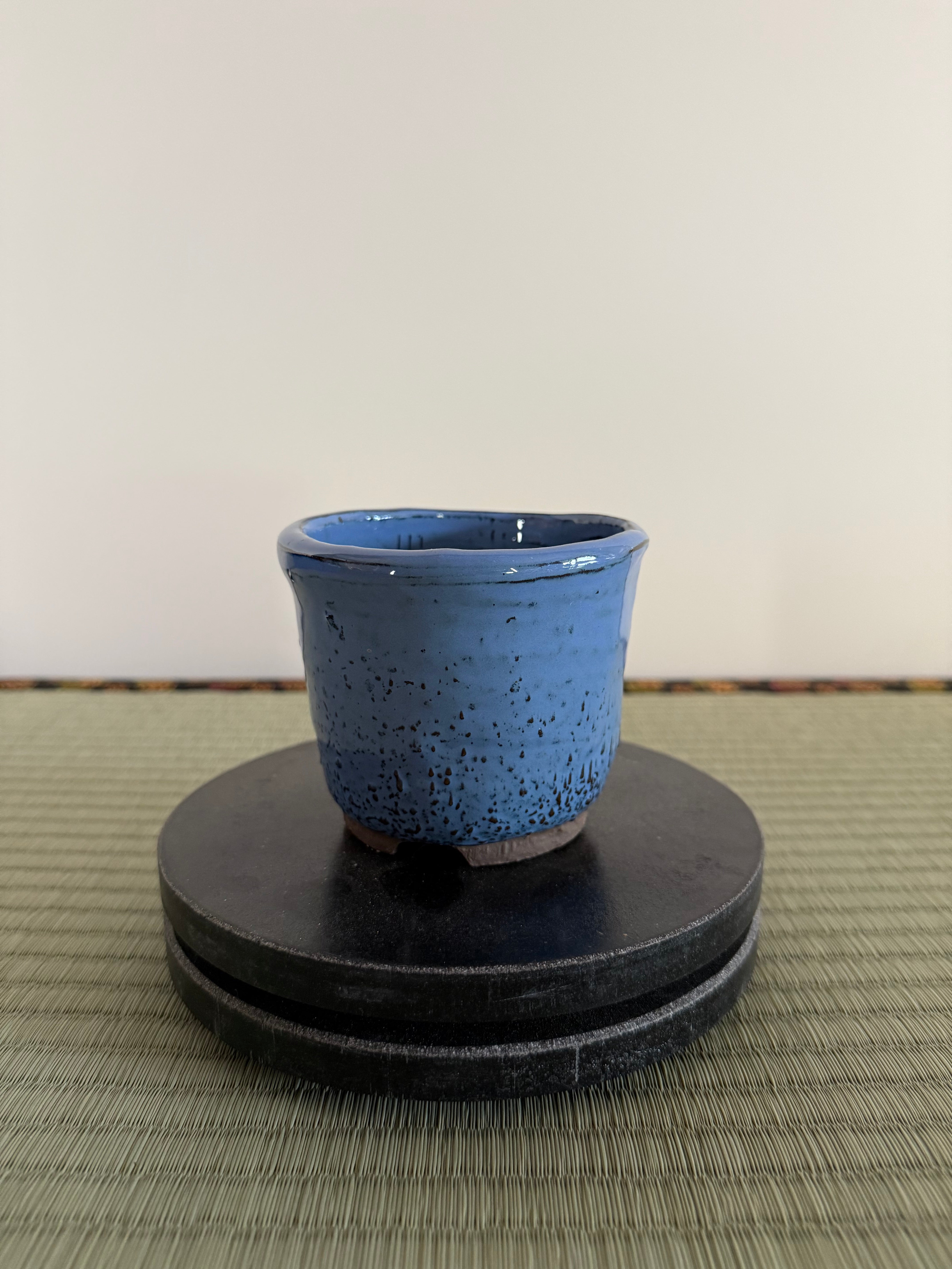 Bonsai Pot