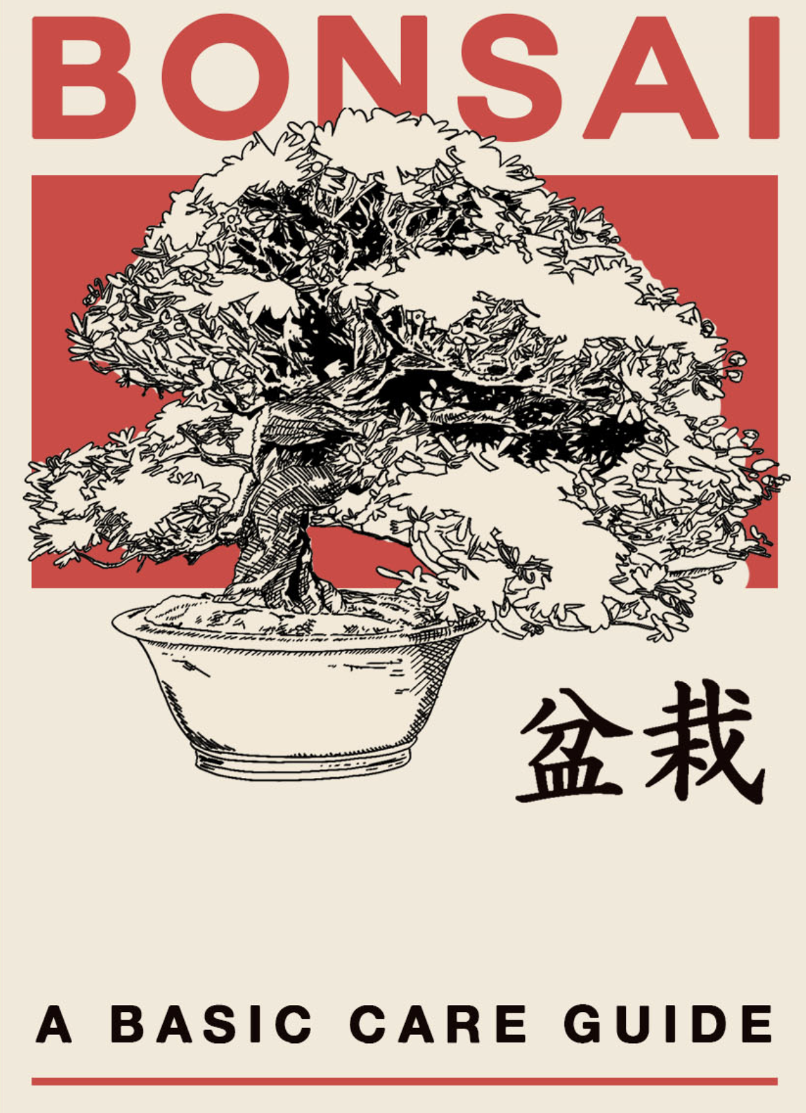 Bonsai Kit (Seed)