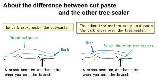 Cut Paste (w/ hormone)