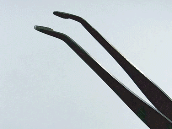 Tweezers (for pine needles)