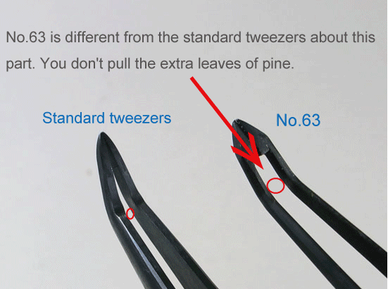 Tweezers (for pine needles)