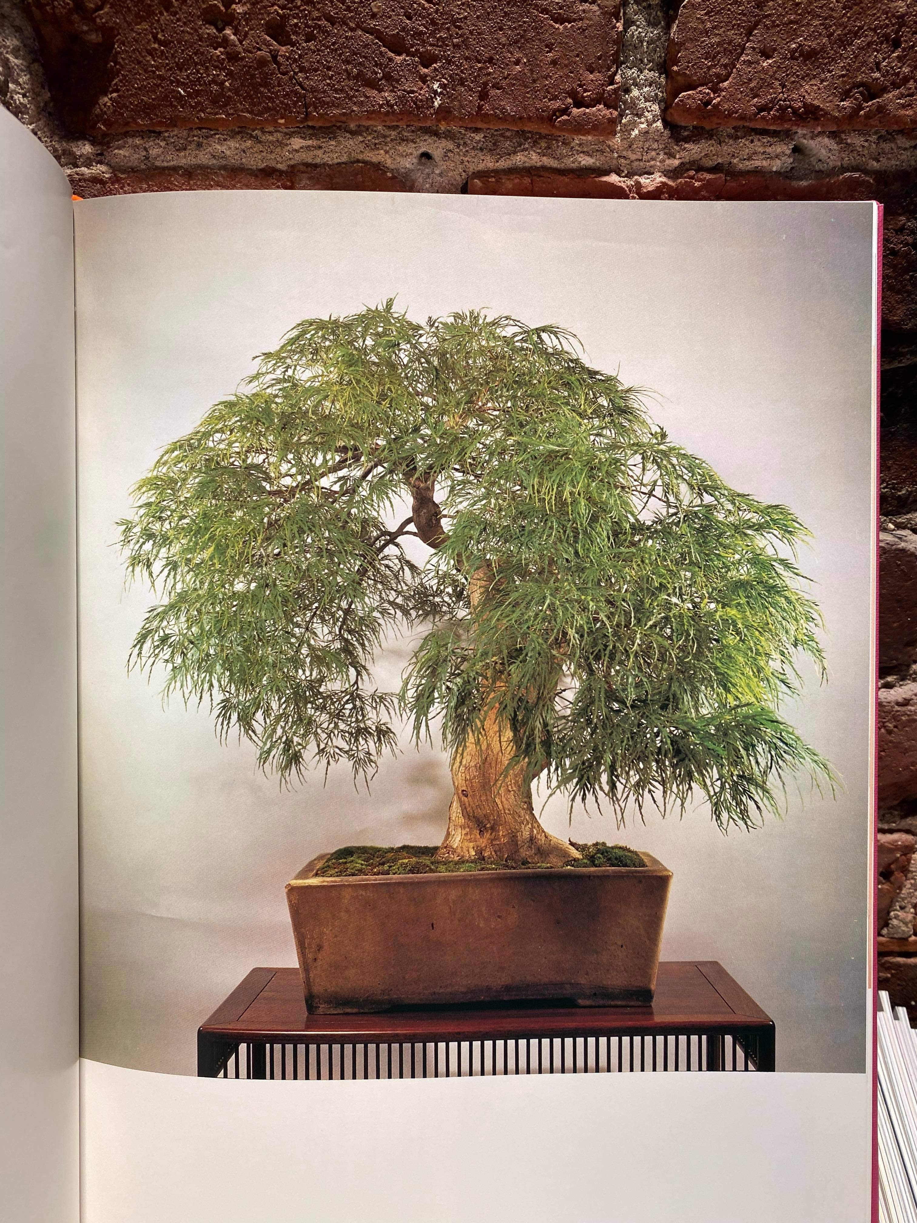 Broad Leaf Bonsai Masterpiece (signed)